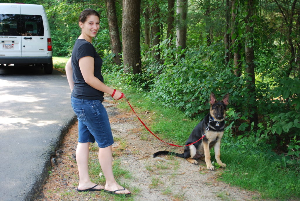 german shepherd puppy training East Bridgewater, MA