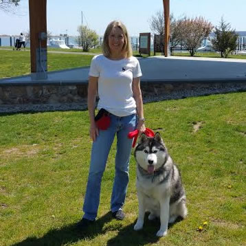 Siberian-Husky-Halifax-MA-dog-training